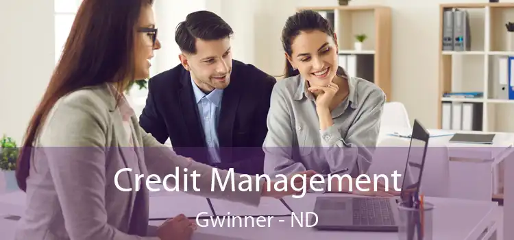  Credit Management Gwinner - ND