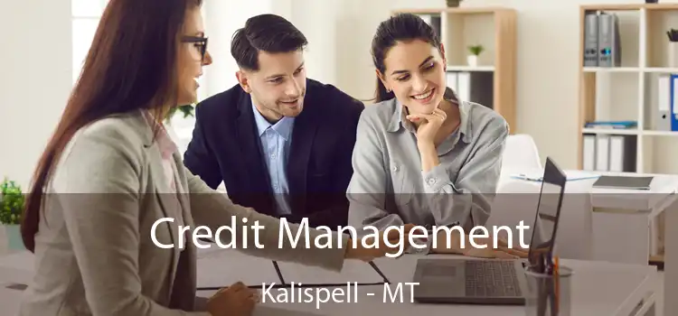 Credit Management Kalispell - MT