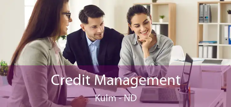  Credit Management Kulm - ND