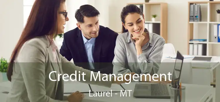  Credit Management Laurel - MT
