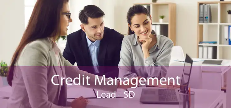 Credit Management Lead - SD