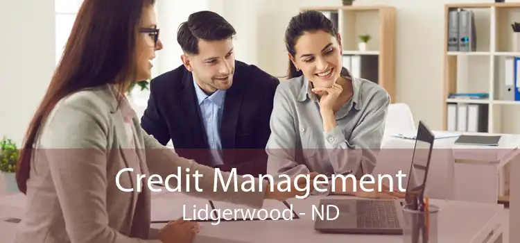 Credit Management Lidgerwood - ND