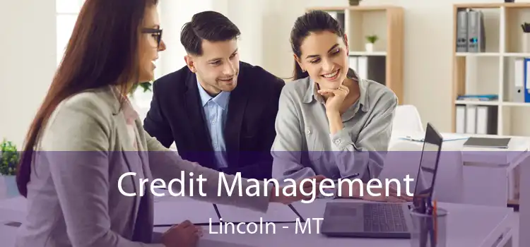  Credit Management Lincoln - MT