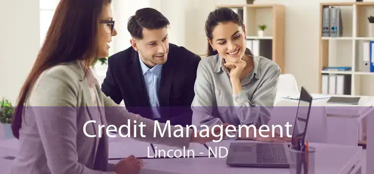 Credit Management Lincoln - ND