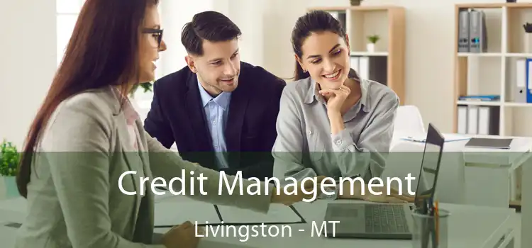 Credit Management Livingston - MT