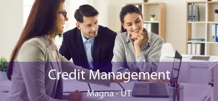  Credit Management Magna - UT