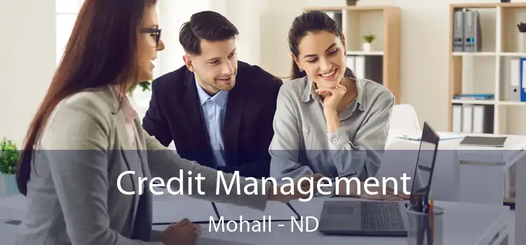  Credit Management Mohall - ND