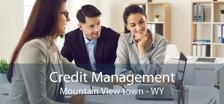 Credit Management Mountain View town - WY