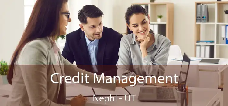  Credit Management Nephi - UT