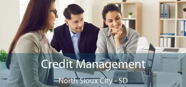  Credit Management North Sioux City - SD