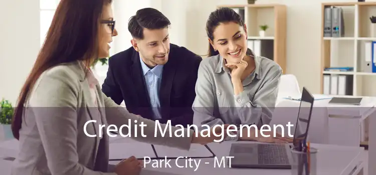  Credit Management Park City - MT