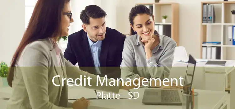 Credit Management Platte - SD
