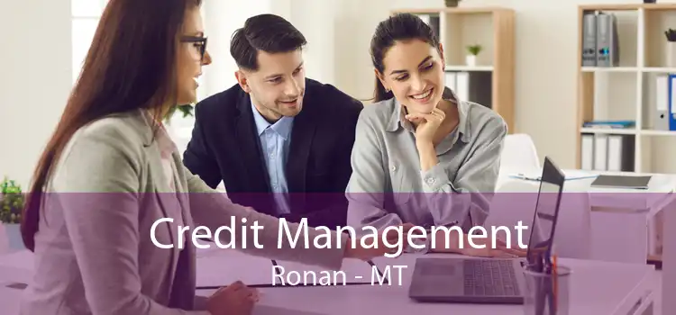 Credit Management Ronan - MT