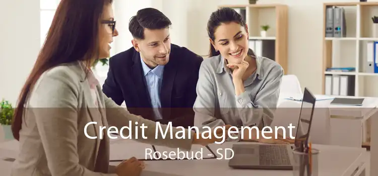 Credit Management Rosebud - SD