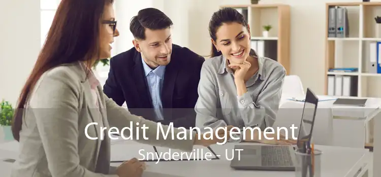 Credit Management Snyderville - UT
