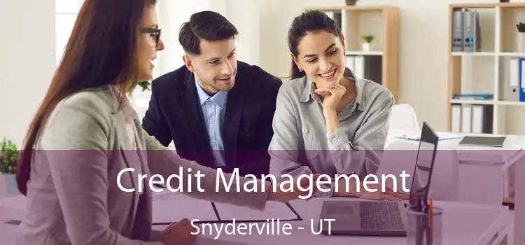  Credit Management Snyderville - UT