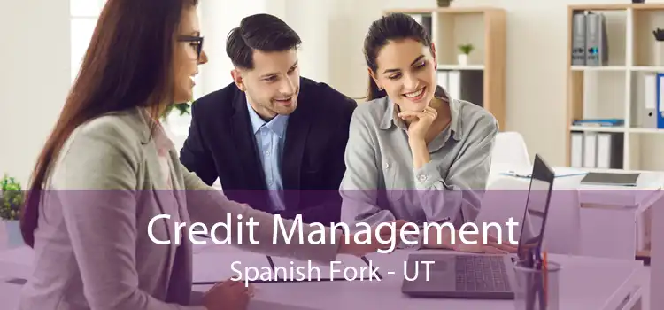 Credit Management Spanish Fork - UT