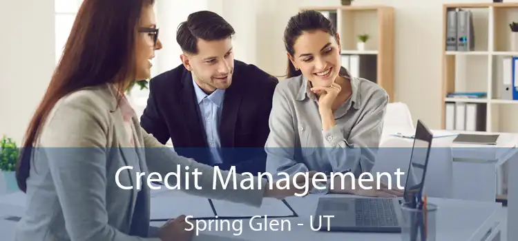  Credit Management Spring Glen - UT