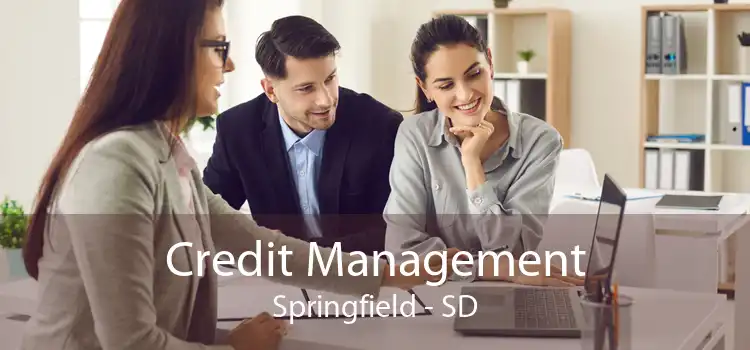 Credit Management Springfield - SD