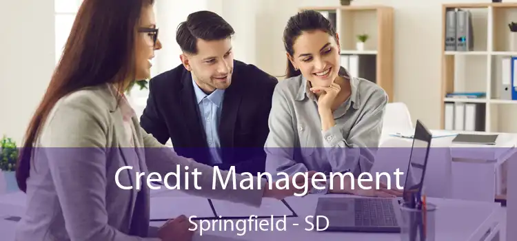 Credit Management Springfield - SD