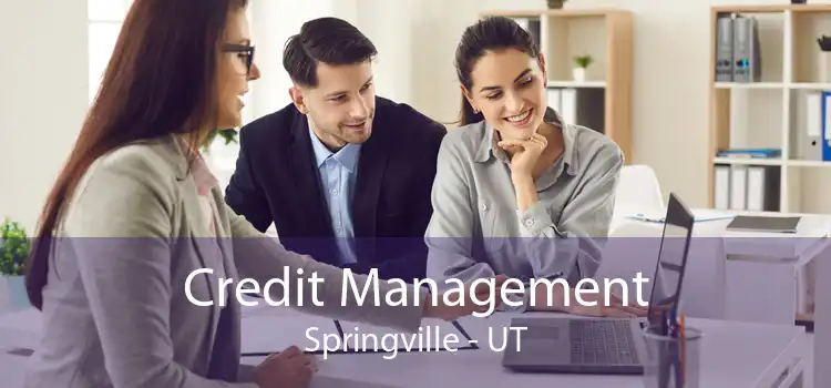Credit Management Springville - UT