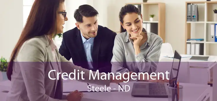 Credit Management Steele - ND