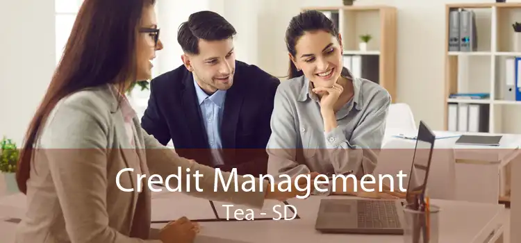 Credit Management Tea - SD