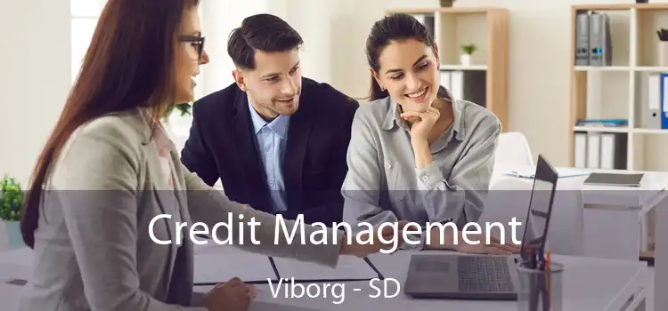  Credit Management Viborg - SD