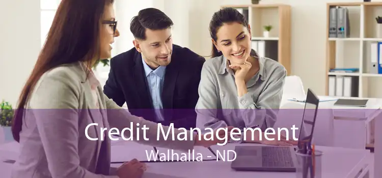 Credit Management Walhalla - ND