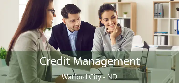  Credit Management Watford City - ND