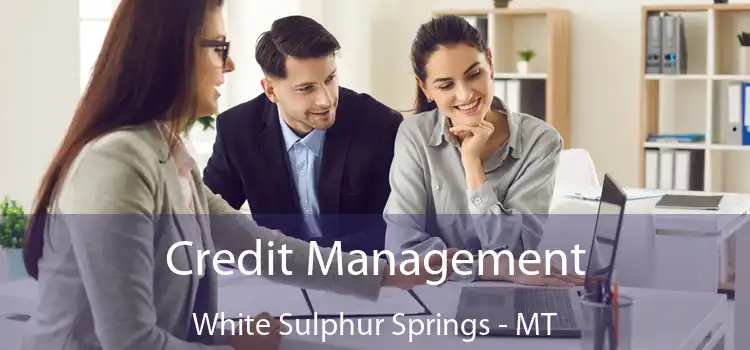 Credit Management White Sulphur Springs - MT