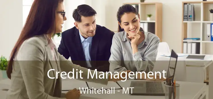  Credit Management Whitehall - MT