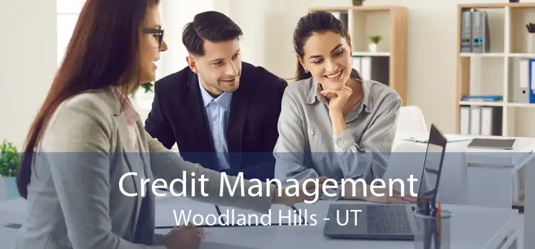 Credit Management Woodland Hills - UT