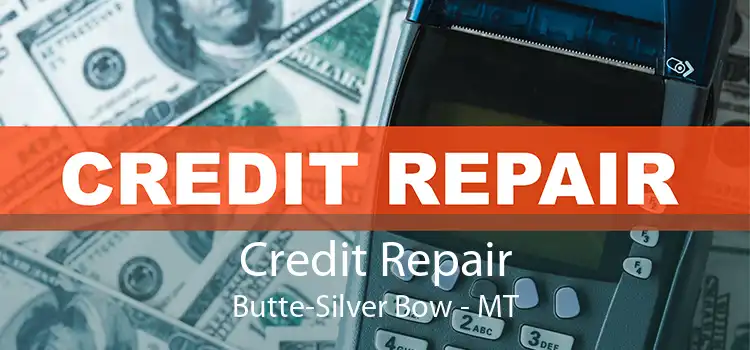 Credit Repair Butte-Silver Bow - MT