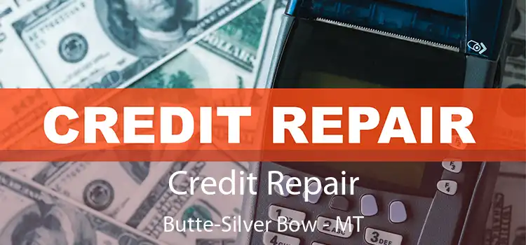  Credit Repair Butte-Silver Bow - MT