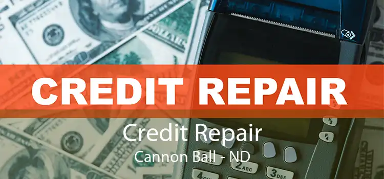 Credit Repair Cannon Ball - ND