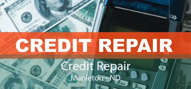 Credit Repair Mapleton - ND