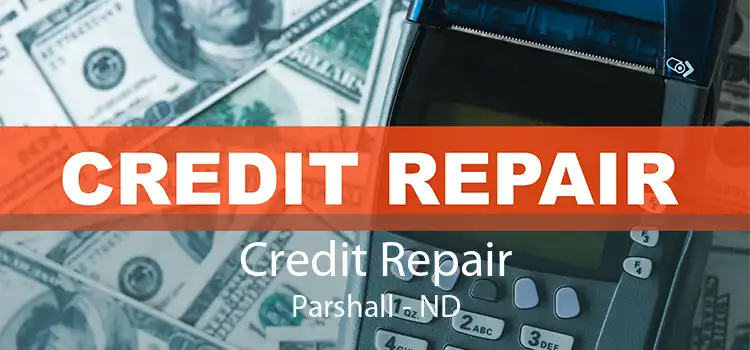 Credit Repair Parshall - ND