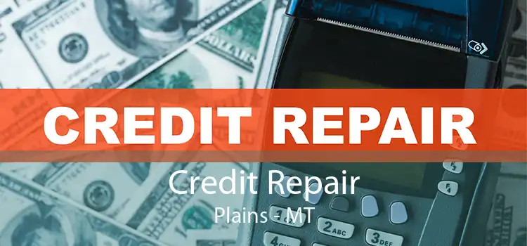 Credit Repair Plains - MT