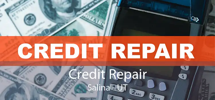 Credit Repair Salina - UT