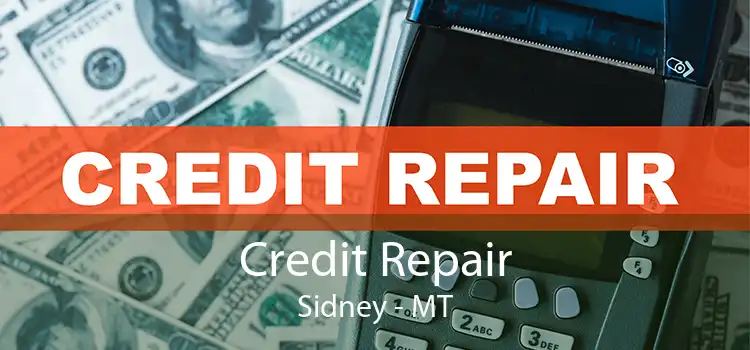 Credit Repair Sidney - MT