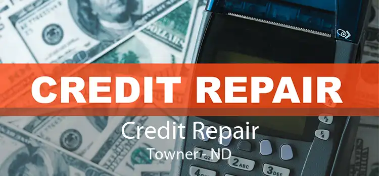 Credit Repair Towner - ND