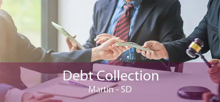 Debt Collection Martin - SD