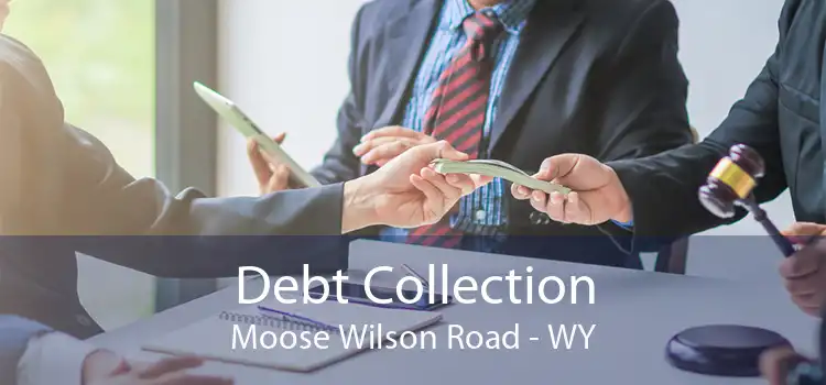 Debt Collection Moose Wilson Road - WY