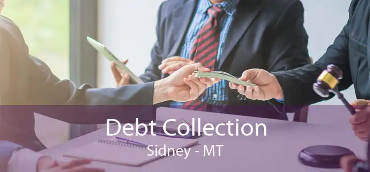 Debt Collection Sidney - MT