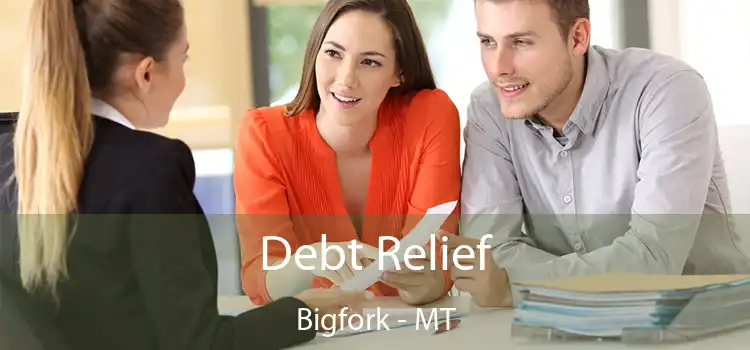  Debt Relief Bigfork - MT