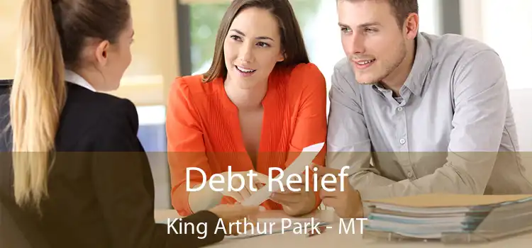  Debt Relief King Arthur Park - MT