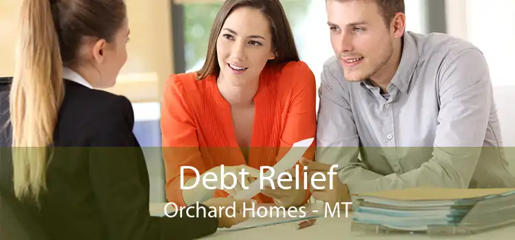 Debt Relief Orchard Homes - MT