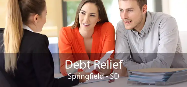 Debt Relief Springfield - SD