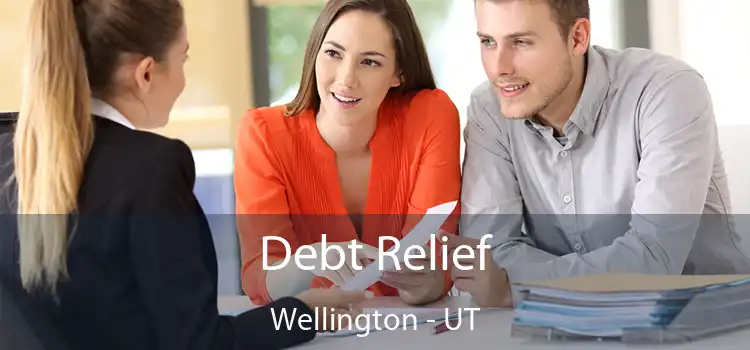  Debt Relief Wellington - UT